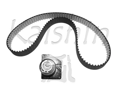 Timing Belt Kit (KFI555)