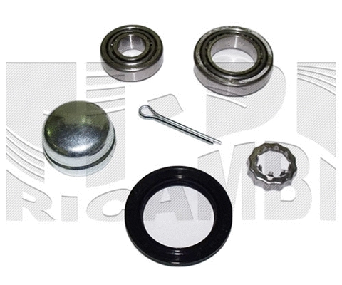 Wheel Bearing Kit (RK1023)