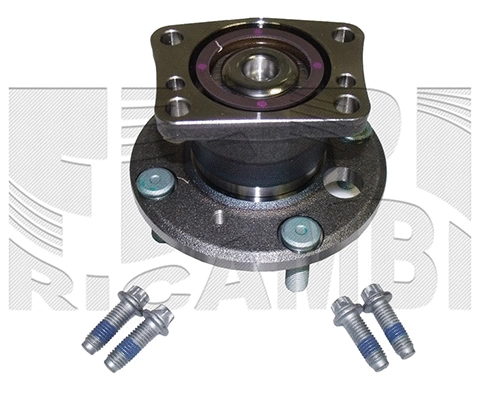 Wheel Bearing Kit (RK10000)