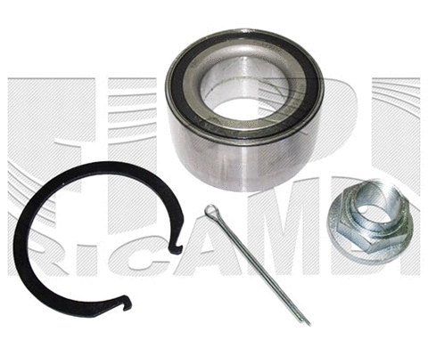 Wheel Bearing Kit (RK2668)