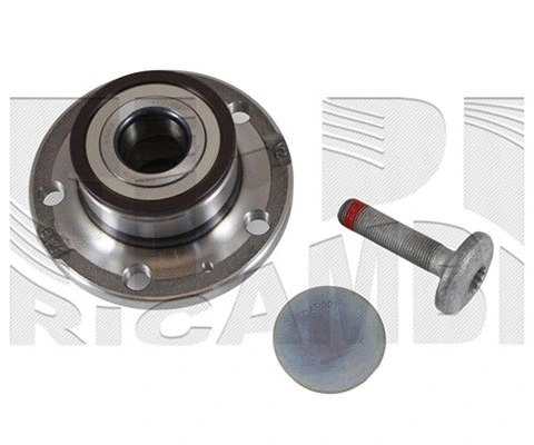 Wheel Bearing Kit (RK1100)
