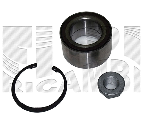 Wheel Bearing Kit (RK6810)