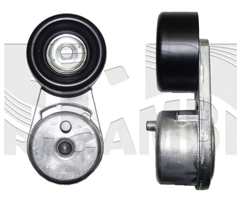 Belt Tensioner, V-ribbed belt (FI22580)