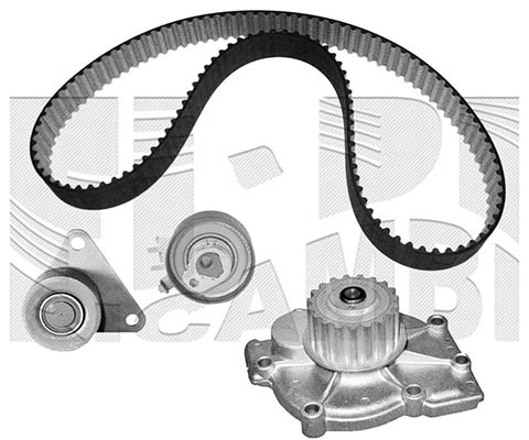 Water Pump & Timing Belt Kit (WKFI207)