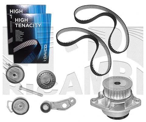 Water Pump & Timing Belt Kit (WKFI237)