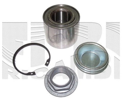Wheel Bearing Kit (RK4061)
