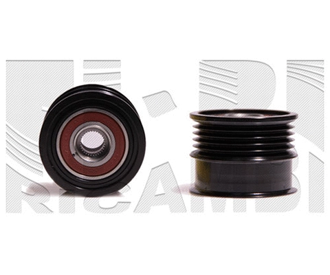 Alternator Freewheel Clutch (FI18710)