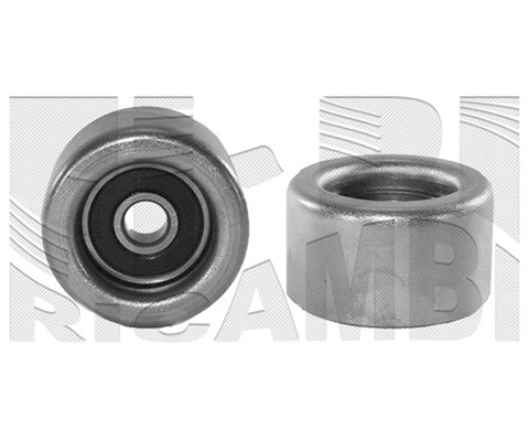 Deflection/Guide Pulley, timing belt (FI4160)