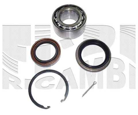 Wheel Bearing Kit (RK1832)