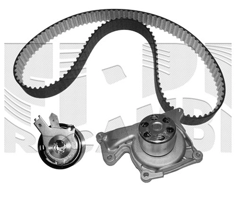 Water Pump & Timing Belt Kit (WKFI640)