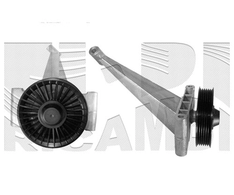Deflection/Guide Pulley, V-ribbed belt (FI9390)