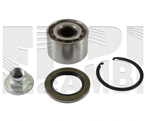 Wheel Bearing Kit (RK1893)