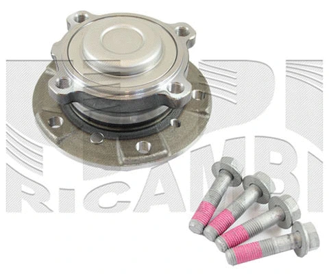 Wheel Bearing Kit (RK6791)