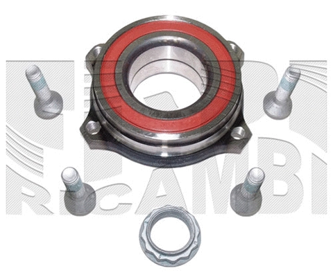 Wheel Bearing Kit (RK6794)
