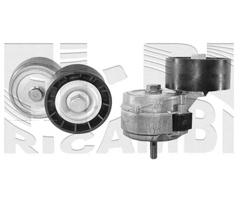 Belt Tensioner, V-ribbed belt (FI11560)
