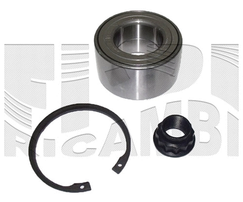 Wheel Bearing Kit (RK1879)
