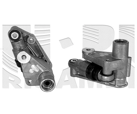 Belt Tensioner, V-ribbed belt (FI6240)