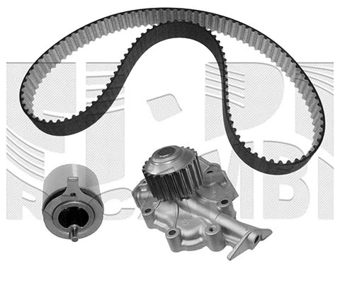 Water Pump & Timing Belt Kit (WKFI258)