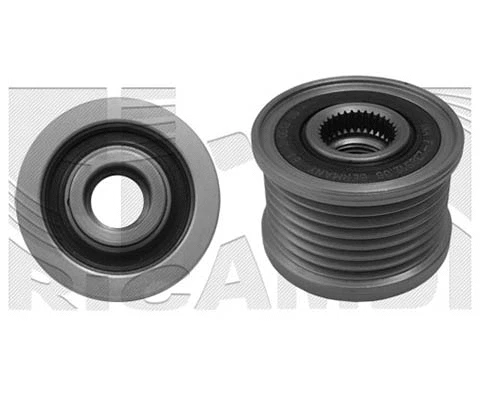 Alternator Freewheel Clutch (FI14160)