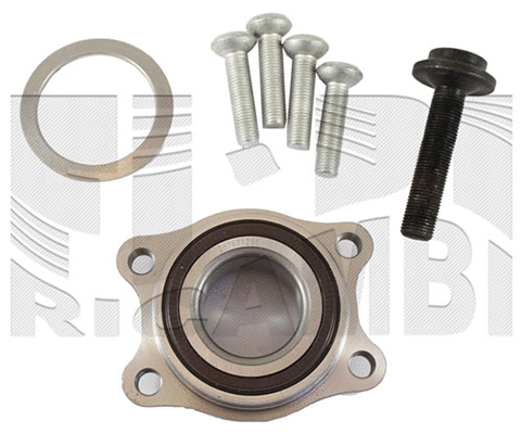 Wheel Bearing Kit (RK1043H)