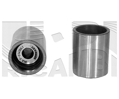 Deflection/Guide Pulley, timing belt (FI9850)