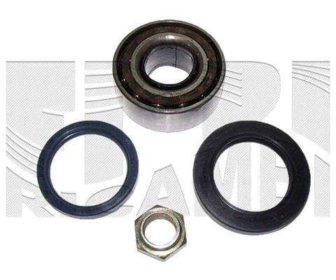 Wheel Bearing Kit (RK5011)