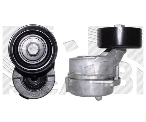 Belt Tensioner, V-ribbed belt (FI16690)