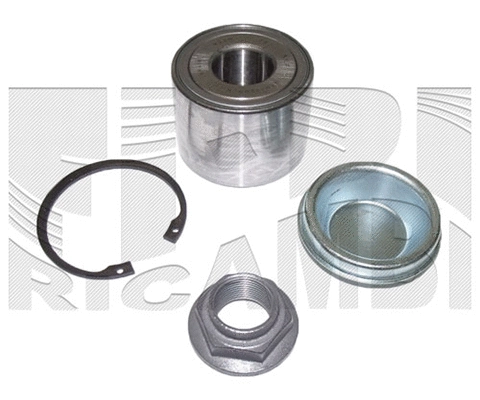 Wheel Bearing Kit (RK4047)
