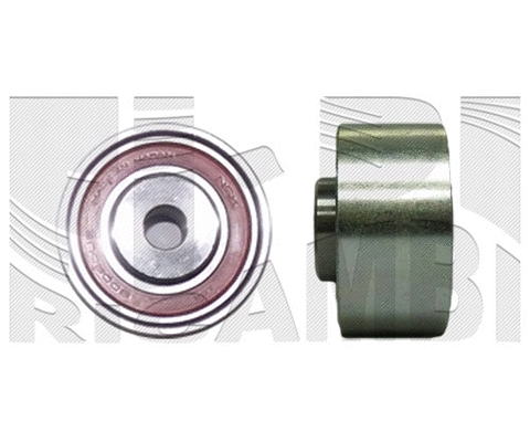 Deflection/Guide Pulley, timing belt (FI4280)