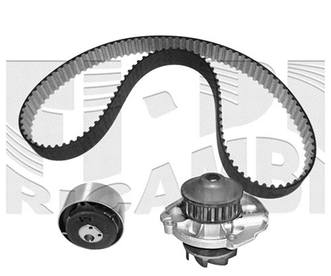 Water Pump & Timing Belt Kit (WKFI348)