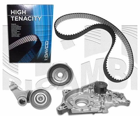 Water Pump & Timing Belt Kit (WKFI281)