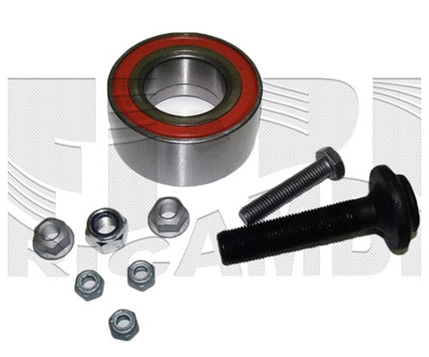 Wheel Bearing Kit (RK1003)
