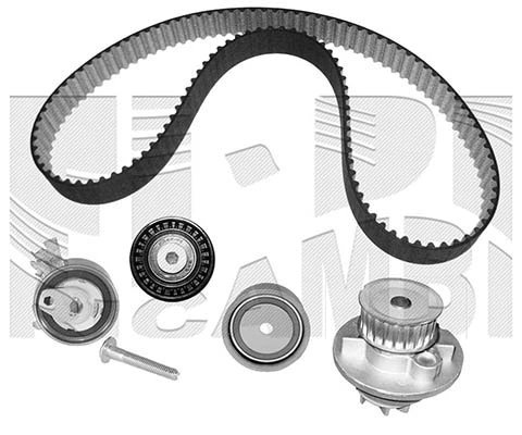 Water Pump & Timing Belt Kit (WKFI199)
