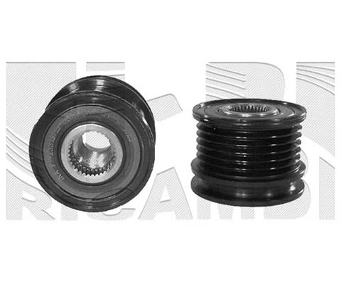 Alternator Freewheel Clutch (FI10690)