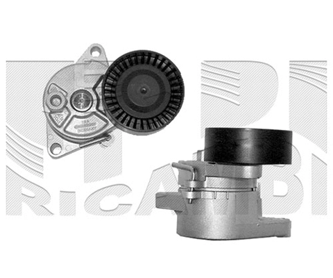 Belt Tensioner, V-ribbed belt (FI5460)