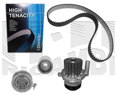 Water Pump & Timing Belt Kit (WKFI306)
