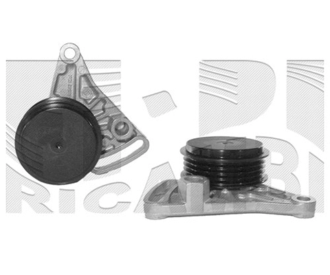 Tensioner Pulley, V-ribbed belt (FI5670)