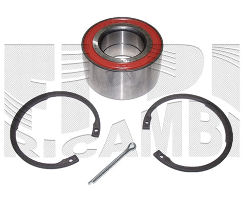 Wheel Bearing Kit (RK4419)