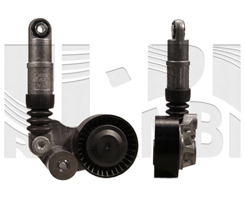 Belt Tensioner, V-ribbed belt (FI17180)