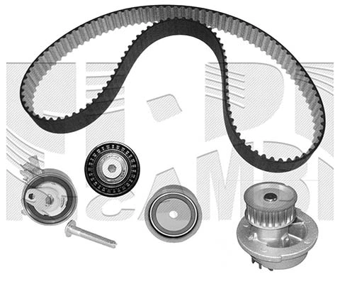 Water Pump & Timing Belt Kit (WKFI199B)