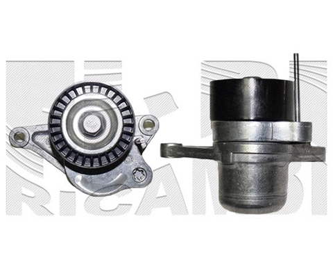 Belt Tensioner, V-ribbed belt (FI21450)