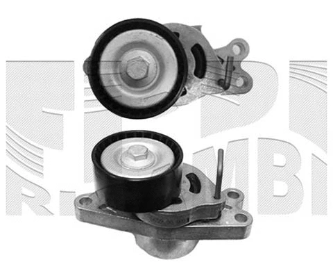 Belt Tensioner, V-ribbed belt (FI14860)