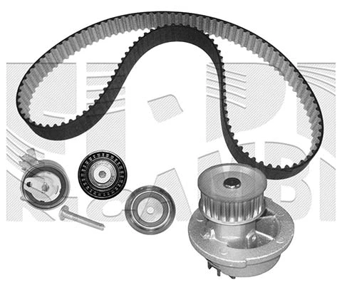 Water Pump & Timing Belt Kit (WKFI145)