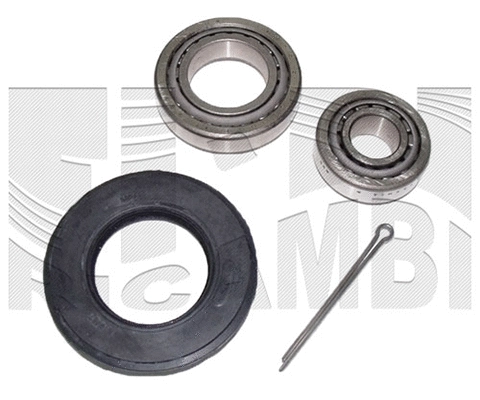 Wheel Bearing Kit (RK4450)