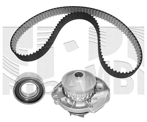 Water Pump & Timing Belt Kit (WKFI051)