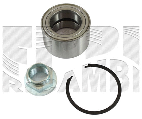 Wheel Bearing Kit (RK4504H)