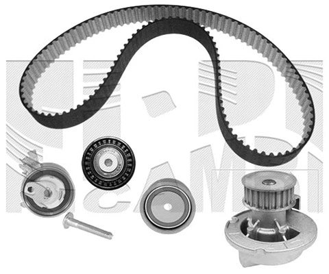 Water Pump & Timing Belt Kit (WKFI199C)