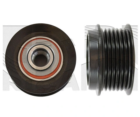 Alternator Freewheel Clutch (FI19560)