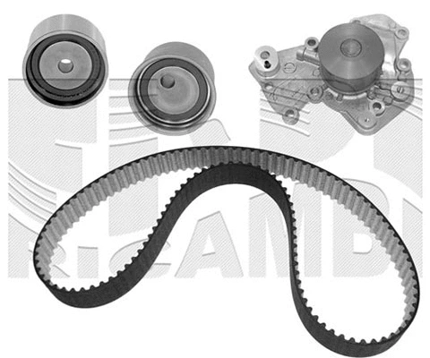 Water Pump & Timing Belt Kit (WKFI487)