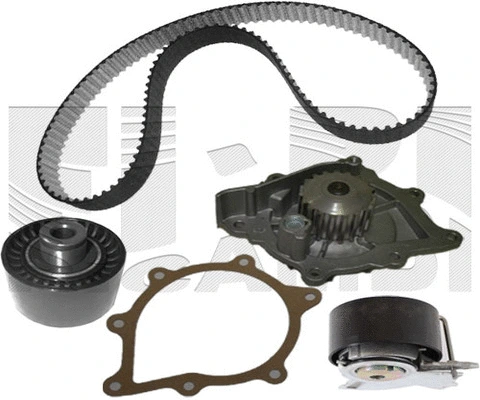 Water Pump & Timing Belt Kit (WKFI674)
